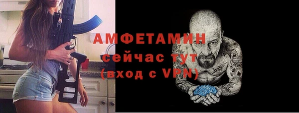 индика Бронницы