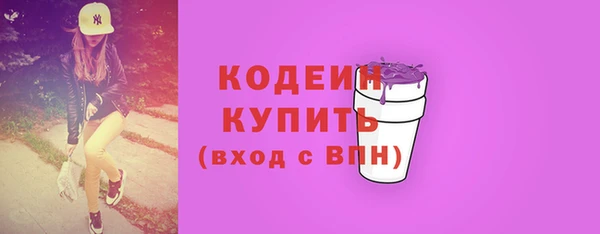 индика Бронницы