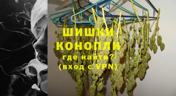 индика Бронницы