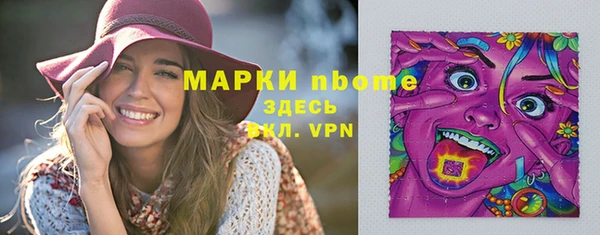 индика Бронницы