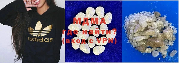 индика Бронницы