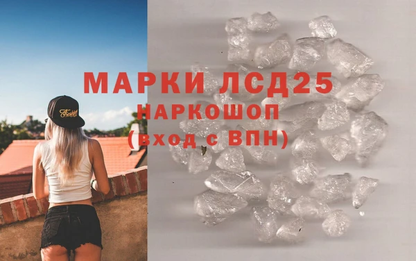 индика Бронницы