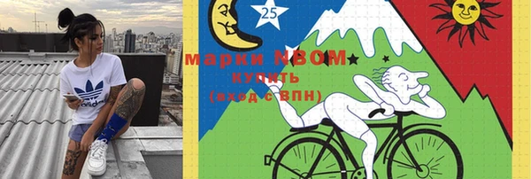 индика Бронницы