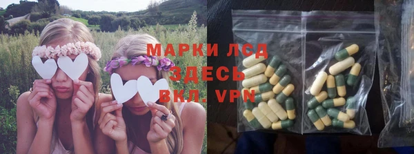индика Бронницы